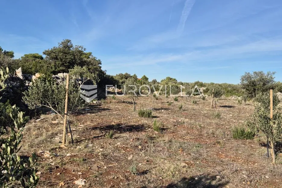 šolta, gornje selo, poljoprivredno zemljište s maslinikom površine 2.653 m² - slika 3
