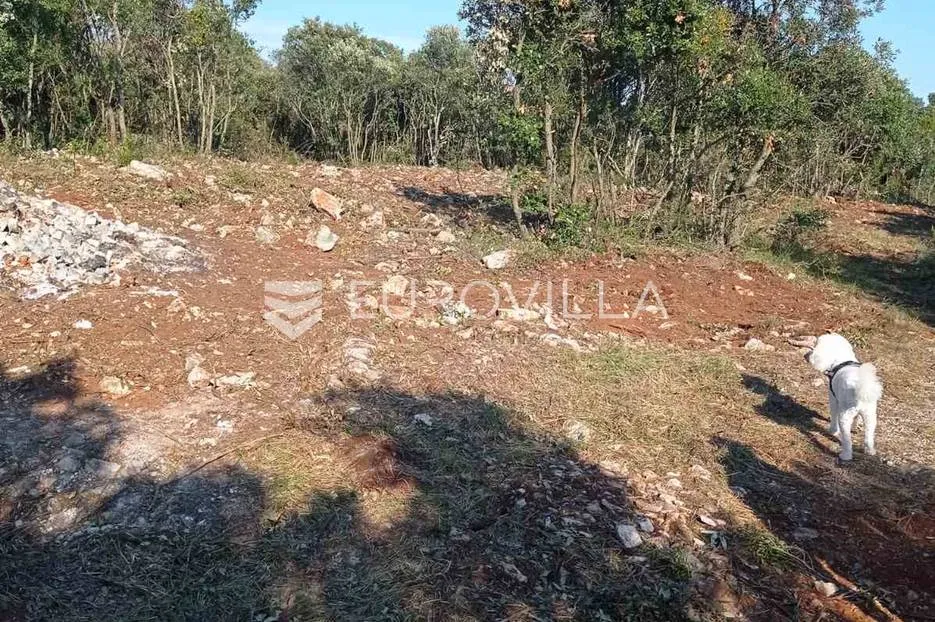 marčana, kavran, poljoprivredno zemljište 1600 m2 - slika 9