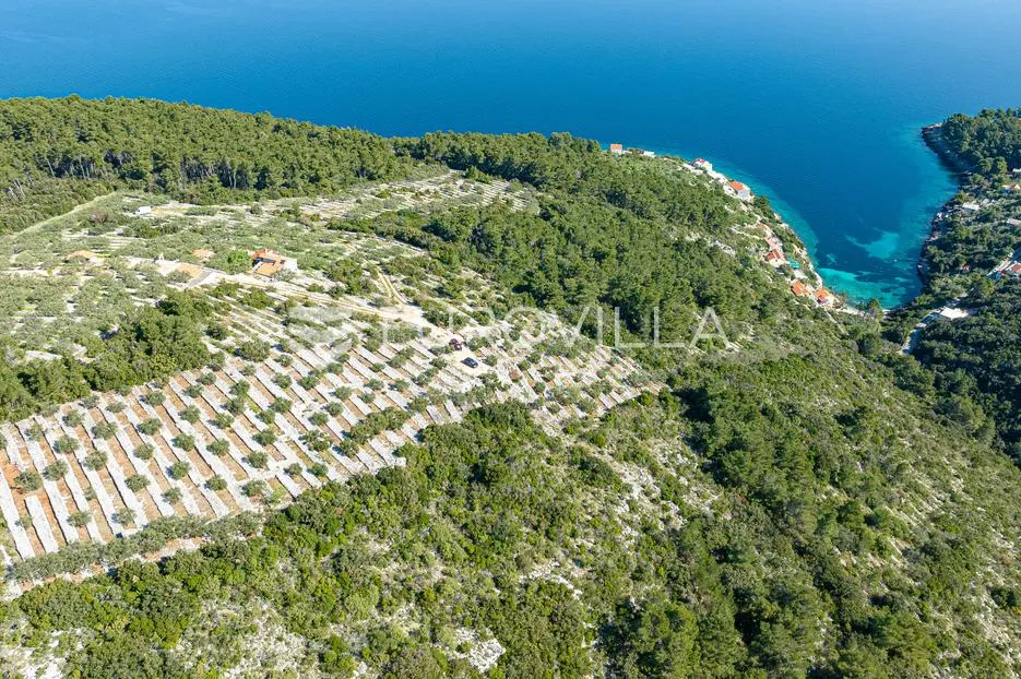 otok korčula, blato, poljoprivredno zemljište s dvije ruševne kamene kućice. - slika 6