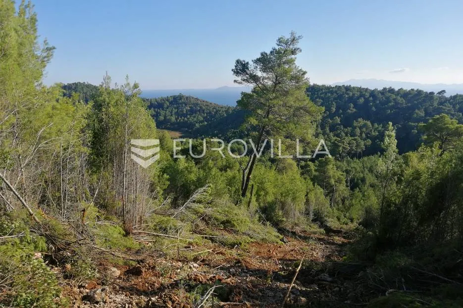 korčula zemljište 31.700m2 za gradnju vile - slika 13