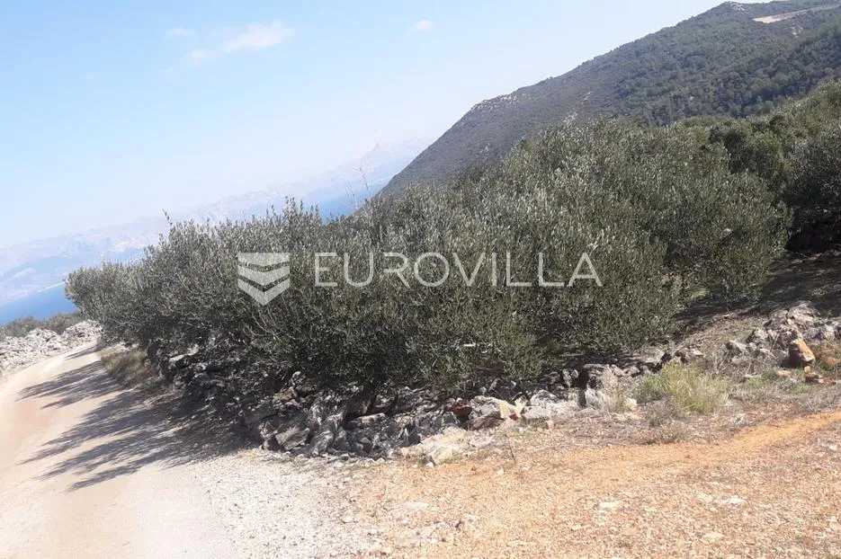 hvar, zastražišće, poljoprivredno zemljište, s pogledom na more - slika 5