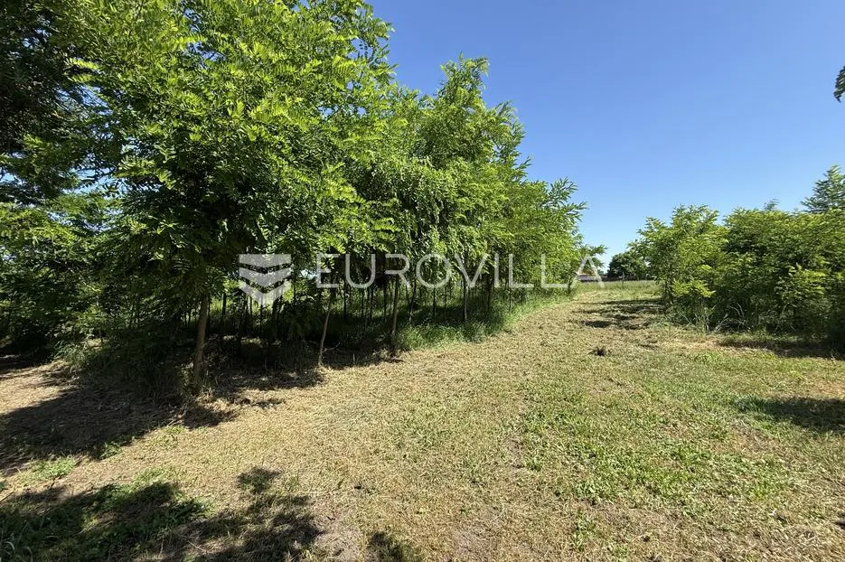 osijek, bilje, prodaje se uređena kuća u rustikalnom stilu na parceli od 25.000 m² - slika 16
