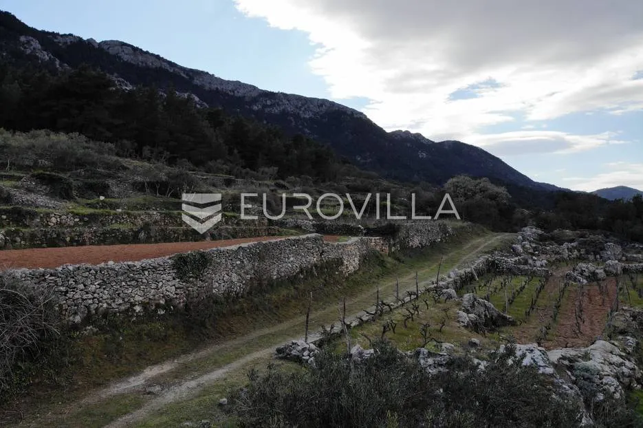 otok hvar, jelsa, atraktivno građevinsko zemljište 1201,60 m² s idejnim projektom - slika 15
