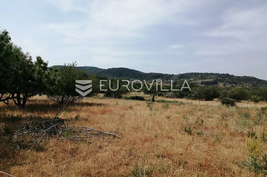 Brač, poljoprivredno zemljište u unutrašnjosti otoka (12 860 m2) - Nerežišća