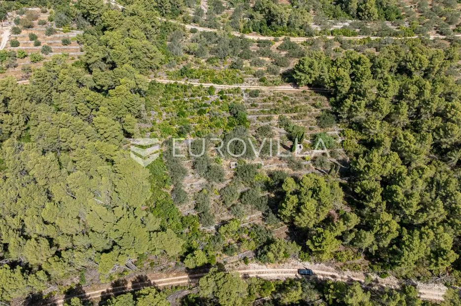 otok korčula, vela luka, poljoprivredno zemljište blizu mora - slika 6
