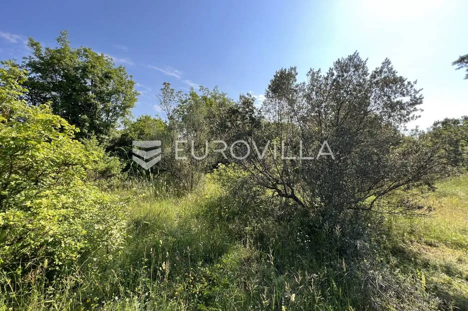 istra, šegotići, poljoprivredno zemljište, 3057m2 - slika 10