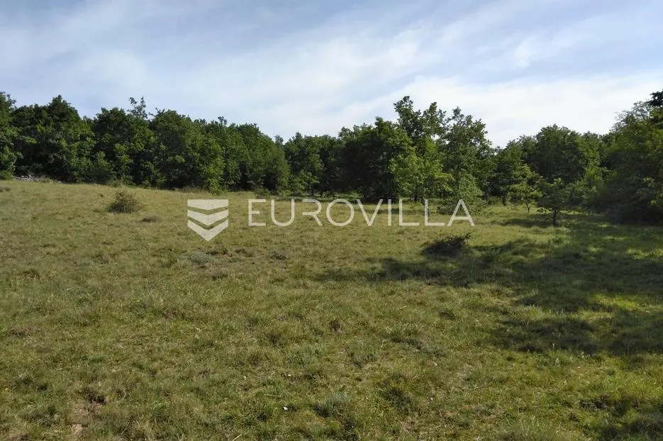 istra, poreč - poljoprivredno zemljište 62710 m2 - slika 7