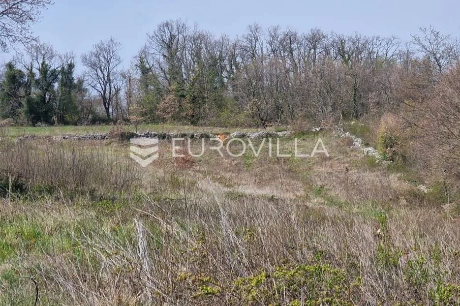 istra, karojba 3465m2 građevinskog zemljišta + 1200m2 poljoprivrednog - slika 3