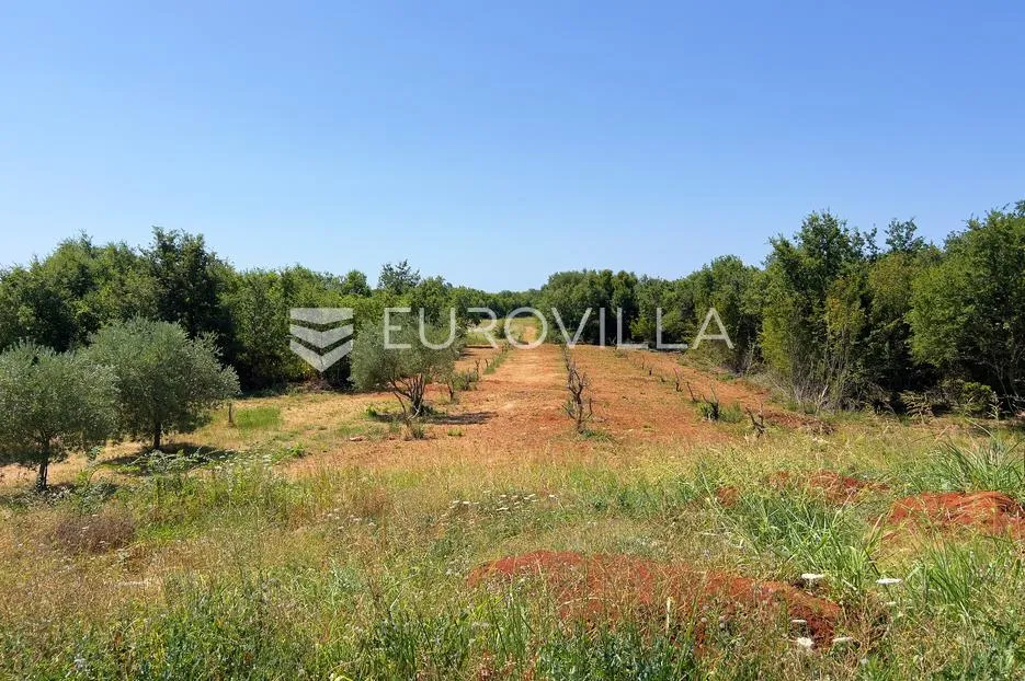 istra, poreč okolica, luksuzna kamena vila s panoramskim pogledom na more - slika 20