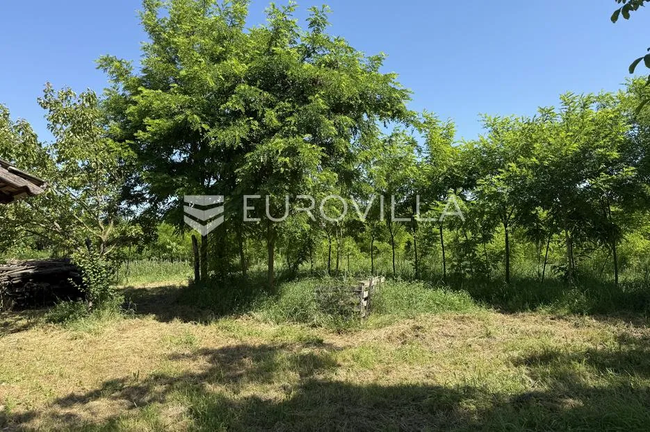 osijek, bilje, prodaje se uređena kuća u rustikalnom stilu na parceli od 25.000 m² - slika 18