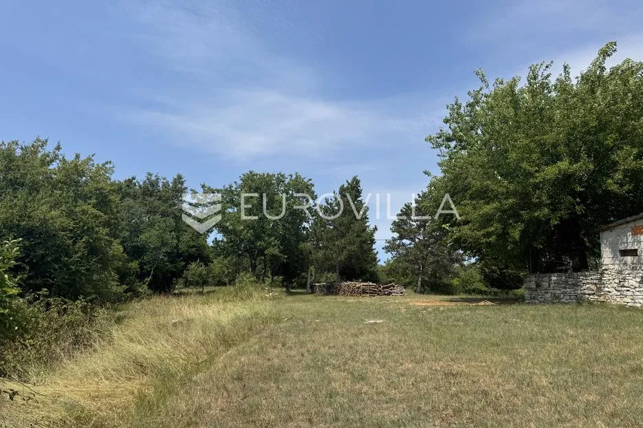 istra, sveti lovreč okolica, građevinsko 538m2 i poljoprivredno zemljište ukupne površine 48294m2 - slika 6