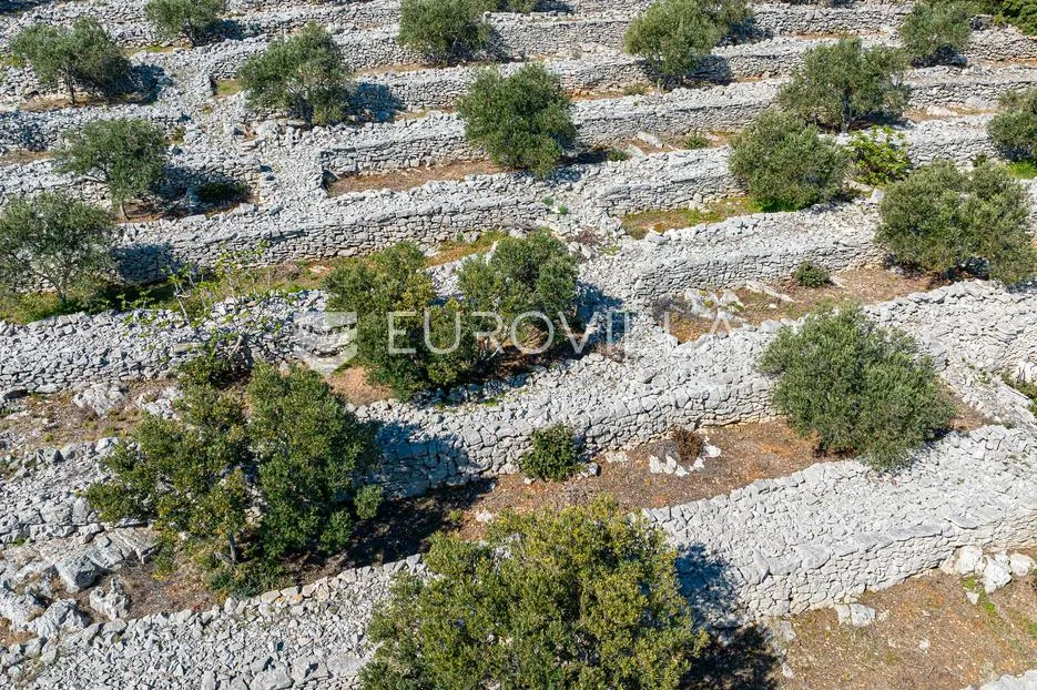 otok korčula, blato, poljoprivredno zemljište s dvije ruševne kamene kućice. - slika 10