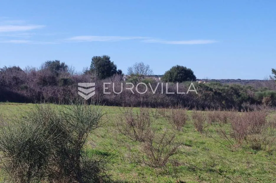ližnjan, veliko poljoprivredno zemljište 7340 m2 s pogledom more - slika 4