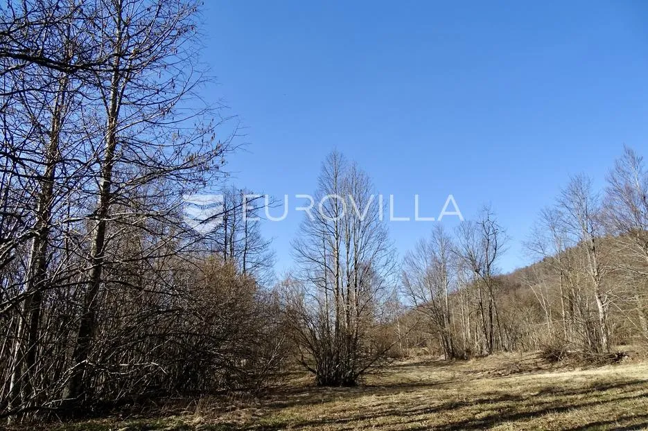delnice, poljoprivredno zemljište površine 2694 m² - slika 6