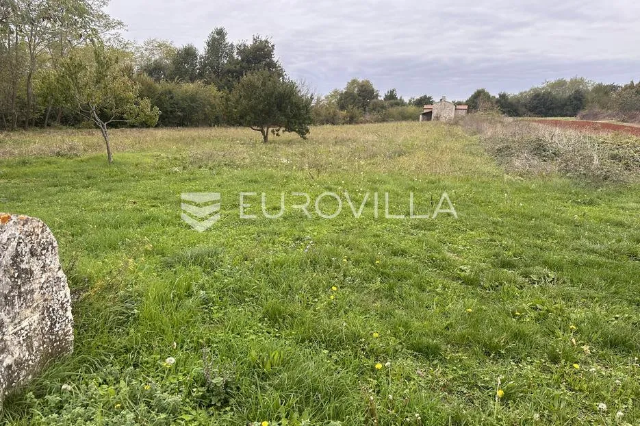 istra, savičenta okolica, jedinstvena kamena kuća 250m2 s bazenom na osami okružena zelenilom - slika 6