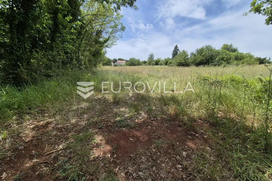 istra, cvitani, građevinsko zemljište s idejnim rješenjem - slika 14