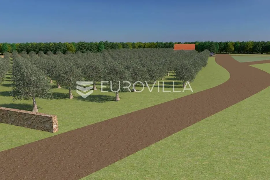 istra, bale, poljoprivredno zemljište 12200m2 s mogućnošću gradnje gospodarskog objekta - slika 5