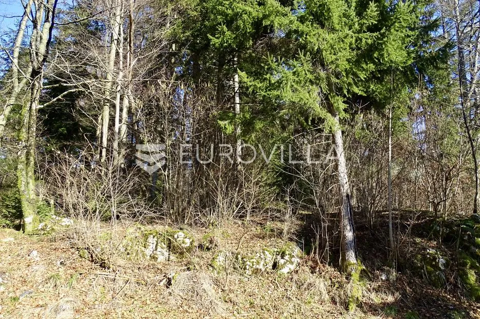 delnice, lučice, atraktivan građevni teren površine 6.919 m² - slika 5