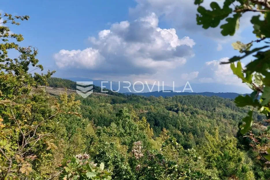 istra, cerovlje - poljoprivredno zemljište pogodno za maslinik ili vinograd - slika 6
