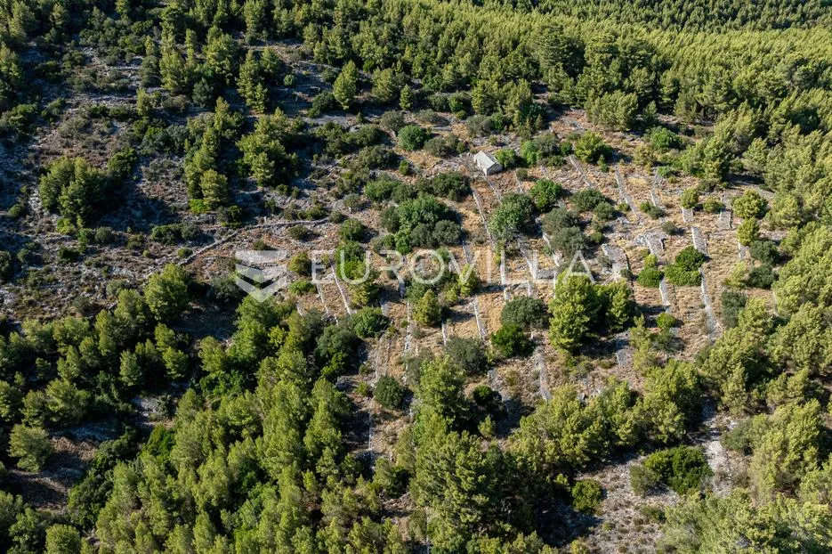 otok korčula, blato, uvala grčćica, poljoprivredno zemljište sa kamenom kućom - slika 5
