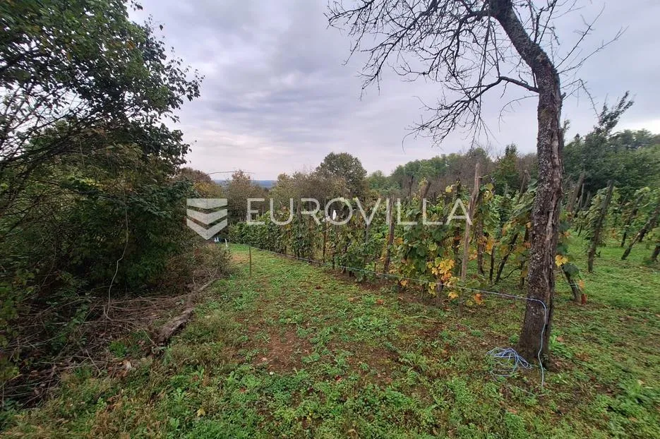 duga resa, mrežnički novaki, građevinsko zemljište 2788 m2 - slika 3