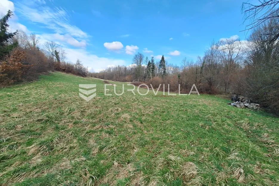 bosiljevo, zemljište 103000 m² s 2 objekta na mirnoj lokaciji - slika 3