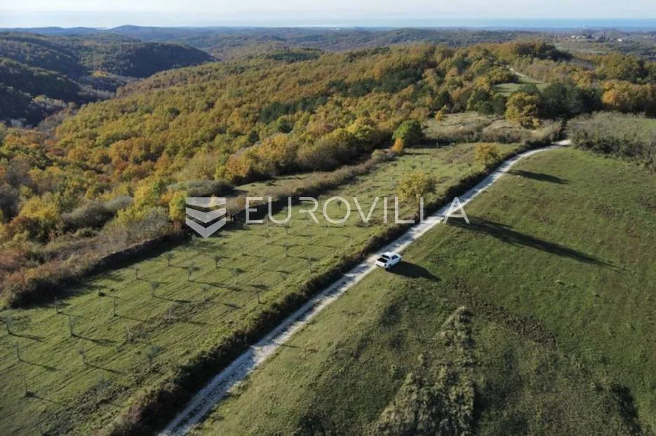 istra, momjan - zemljište 4137m2 od kojih je 1871m2 građevinsko - slika 5