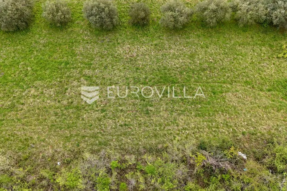 istra, umag, rijetka prilika građevinsko zemljište u zelenom okruženju nadomak mora - slika 6