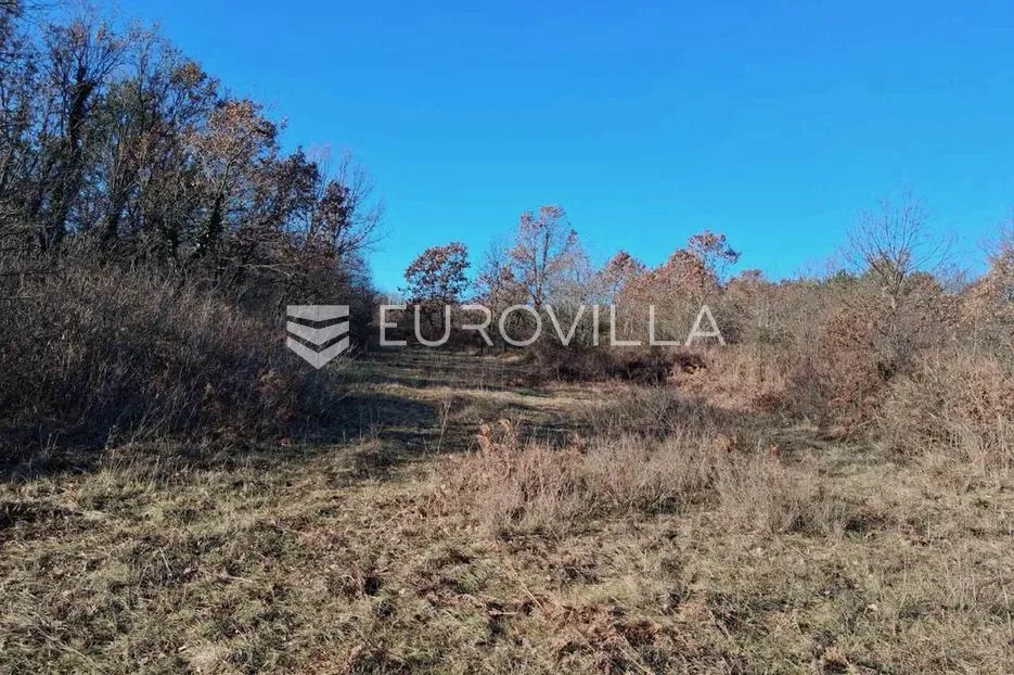 Istra, Barban, atraktivno poljoprivredno zemljište 4 729 m². - Raša