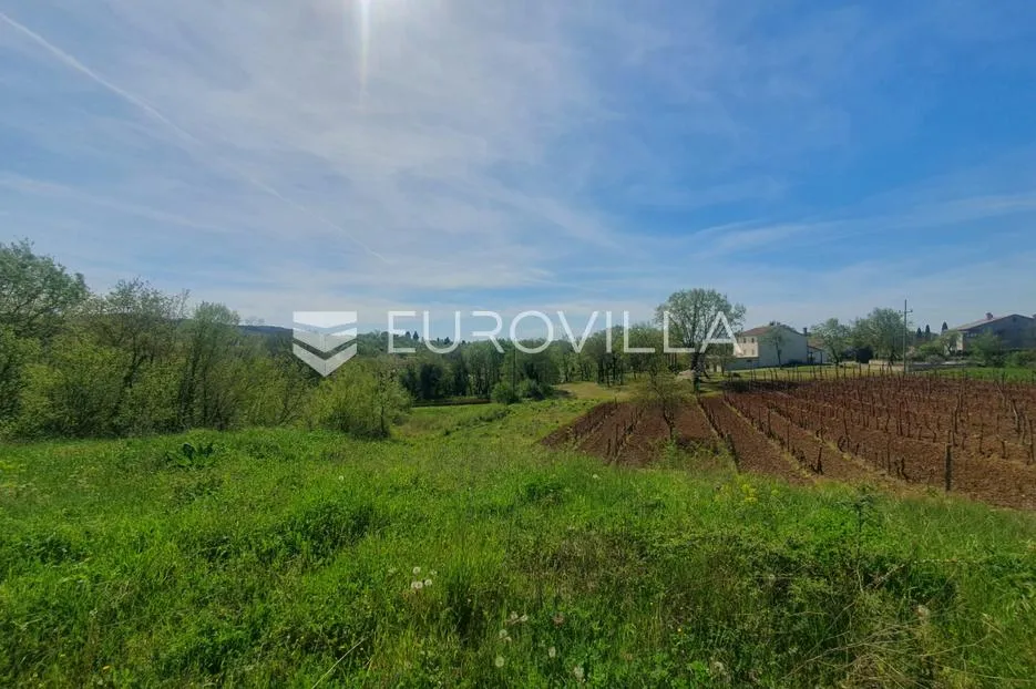 istra, novaki motovunski, građevinsko zemljište - slika 2