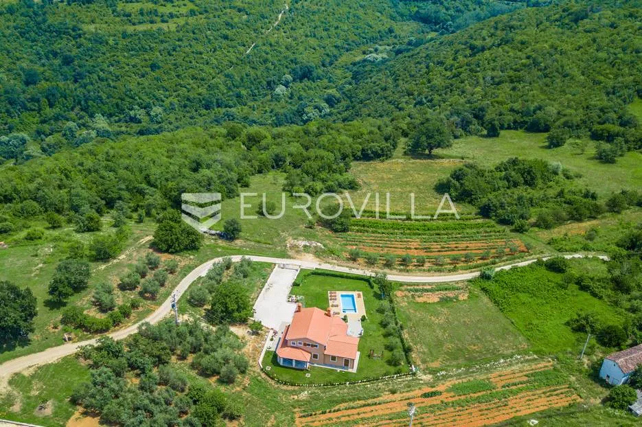 istra, rakotule - zemljište 10100m2, t2 namjene, djelom građevinsko, pogled na motovun - slika 3