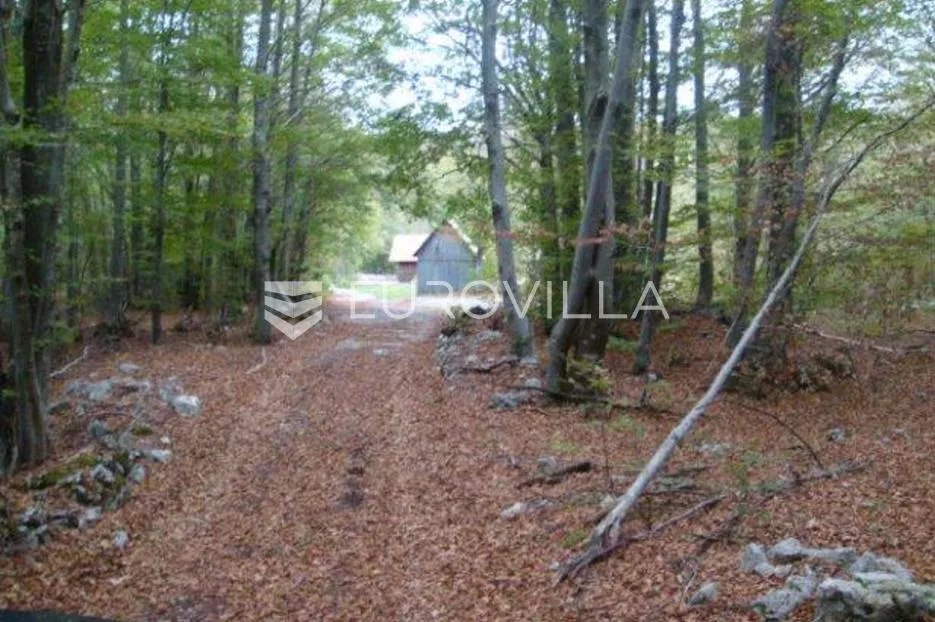 fužine, lič, samostojeća kuća na osami s okućnicom od 3394 m² - slika 5