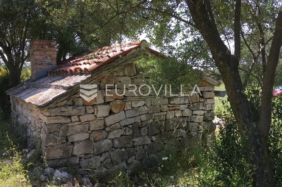 istra, rovinjsko selo, 6599m2 poljoprivredno zemljište s manjim gospodarskim objektom - slika 6