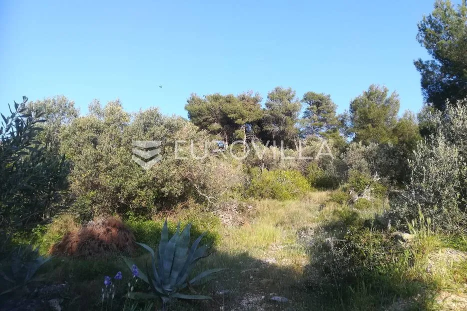 otok murter, prodaja zemljišta, 1295 m2, prvi red do mora - slika 2