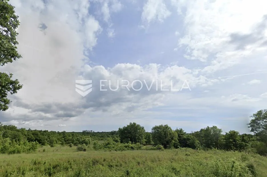 istra, baderna, prostrano građevinsko zemljište 1315 m² u mirnom okruženju - slika 4