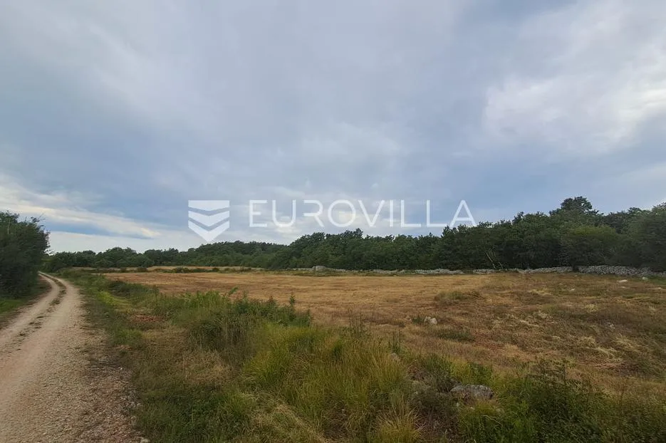 istra, rovinj okolica, poljoprivredno zemljšte 10038m2 na 200m metara od mora - slika 12