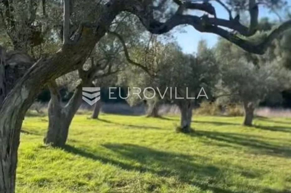 Istra, Galižana, atraktivno građevinsko zemljište 3600 m2 - Galižana, Vodnjan