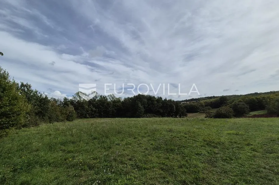 istra, rakotule, građevinsko zemljište 1.215m2 - slika 19