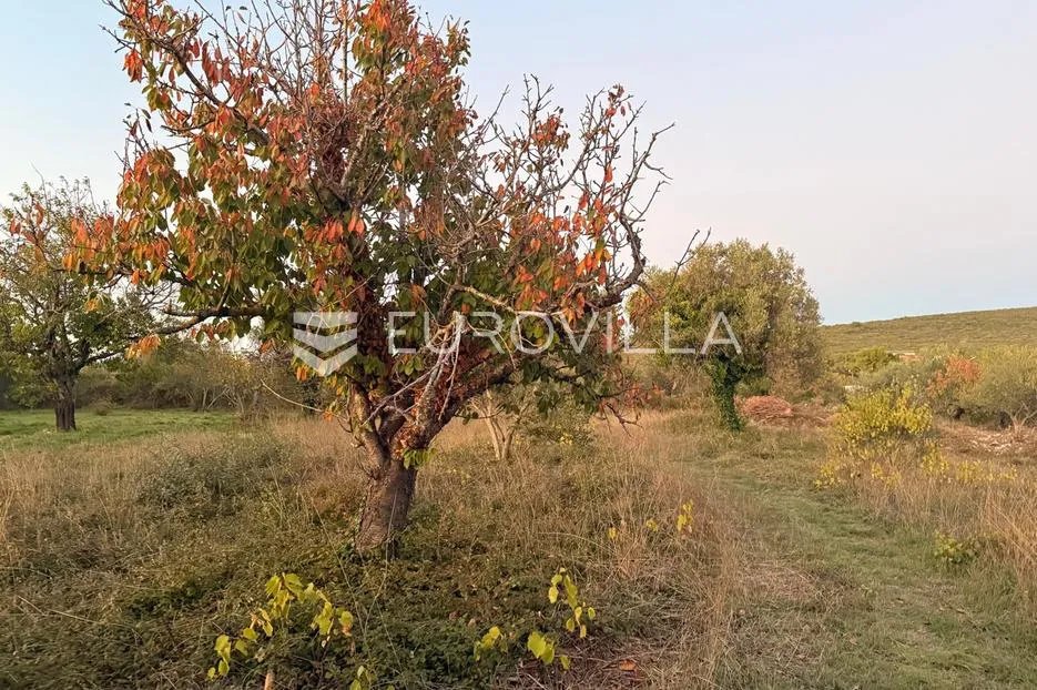 zadar, sukošan, građevinsko zemljište uz magistralu, 1.014 m² – idealno za vilu, apartmane.. - slika 2