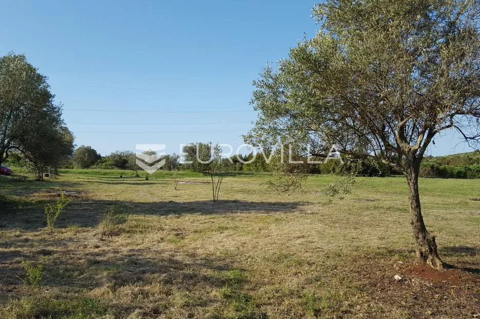 istra, rovinjsko selo, poljoprivredno zemljište 7217m2 - slika 5