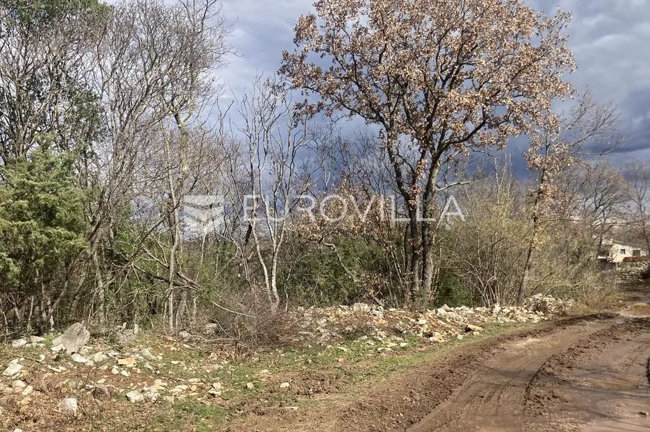 istra, bale, poljoprivredno zemljište 12200m2 s mogućnošću gradnje gospodarskog objekta - slika 8