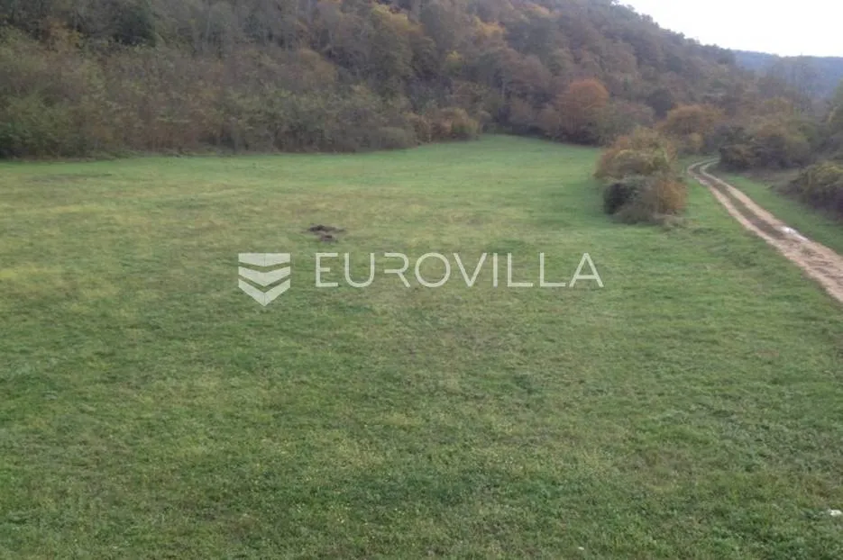 Istra, Kanfanar, uređeno poljoprivredno zemljište 13.270 m2