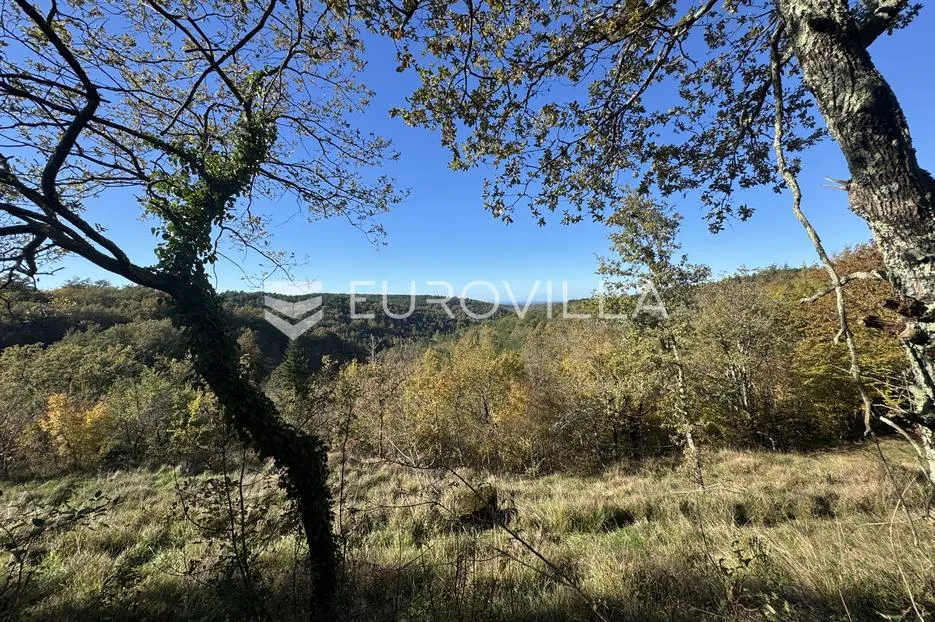 istra, grožnjan, građevinsko zemljište 1529m2 s idejnim projektom za gradnju vile s infinity bazenom - slika 17