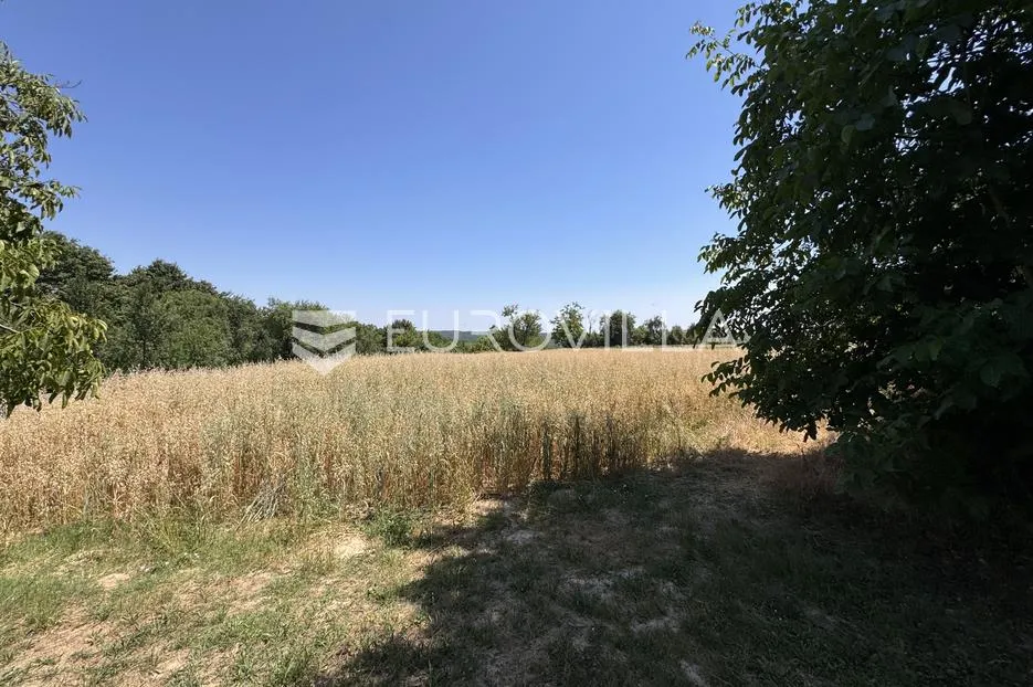 paučje, vikendica 95 m² s velikim potencijalom na zemljištu od 2622 m² - slika 18