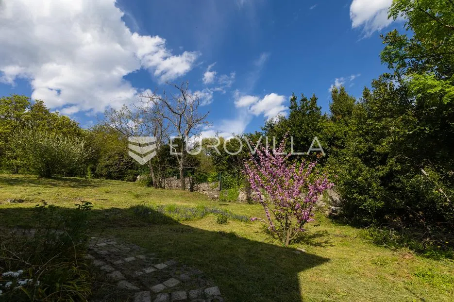 cernik, čavle, adaptirana kuća od 288 m² s 3448 m² terena - slika 10