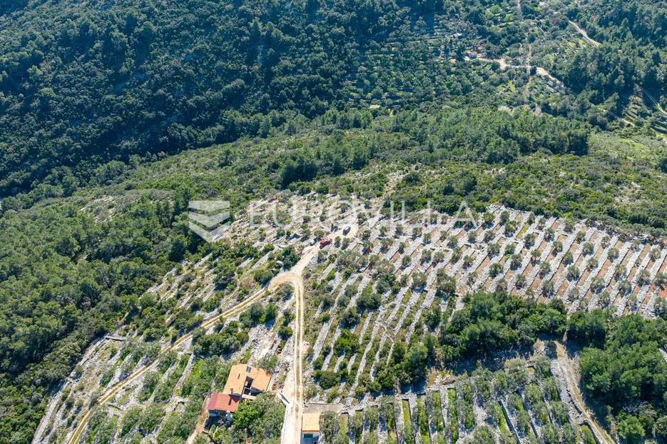 otok korčula, blato, poljoprivredno zemljište s dvije ruševne kamene kućice. - slika 3