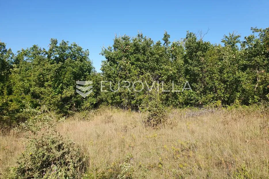 istra, baderna, poljoprivredno zemljište 12.120m2 - slika 2