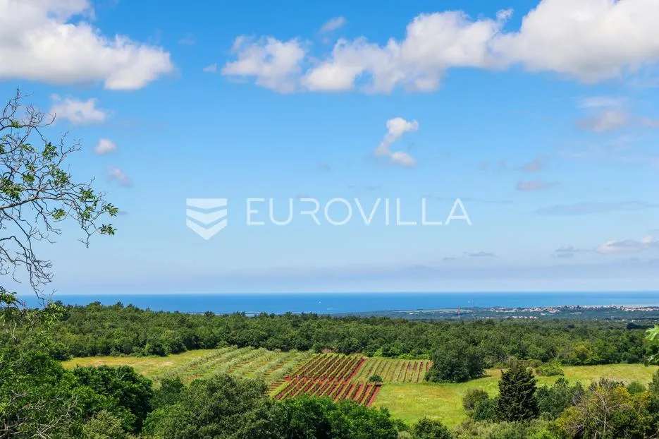 istra, višnjan, namještena vila s okućnicom,jedinstvena lokacija - slika 4