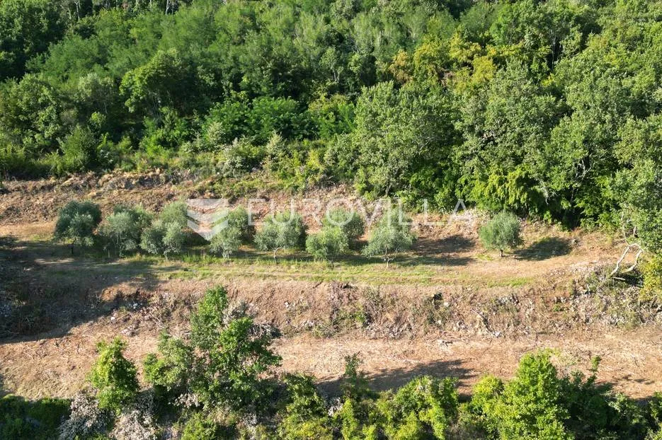 Istra, Motovun, građevinsko zemljište s pogledom na povijesne gradove - Gradinje, Oprtalj