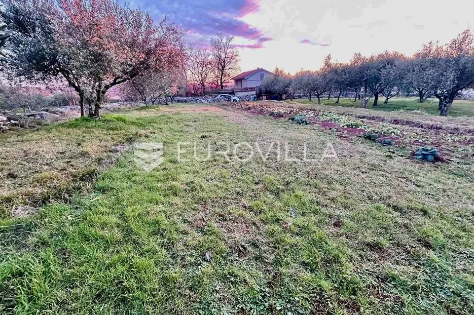 istra, buje, građevinsko zemljište - slika 3